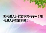 如何進(jìn)入開(kāi)發(fā)者模式oppo（如何進(jìn)入開(kāi)發(fā)者模式）