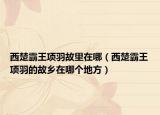 西楚霸王項(xiàng)羽故里在哪（西楚霸王項(xiàng)羽的故鄉(xiāng)在哪個地方）