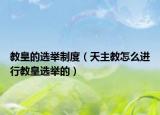 教皇的選舉制度（天主教怎么進行教皇選舉的）