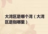 大灣區(qū)是哪個(gè)灣（大灣區(qū)是指哪里）