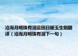 滄海月明珠有淚藍田日暖玉生煙翻譯（滄海月明珠有淚下一句）