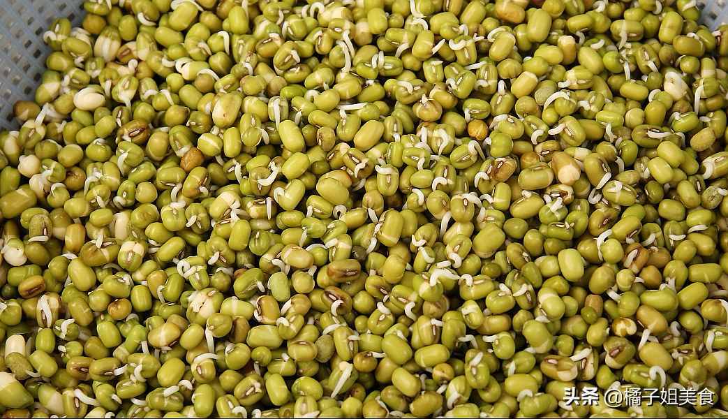 生豆芽的方法：方法詳細(xì)講解，看完你也會(huì)，0失敗的教程