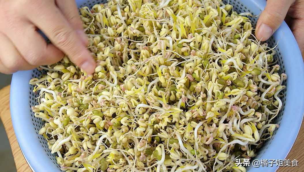 生豆芽的方法：方法詳細(xì)講解，看完你也會(huì)，0失敗的教程
