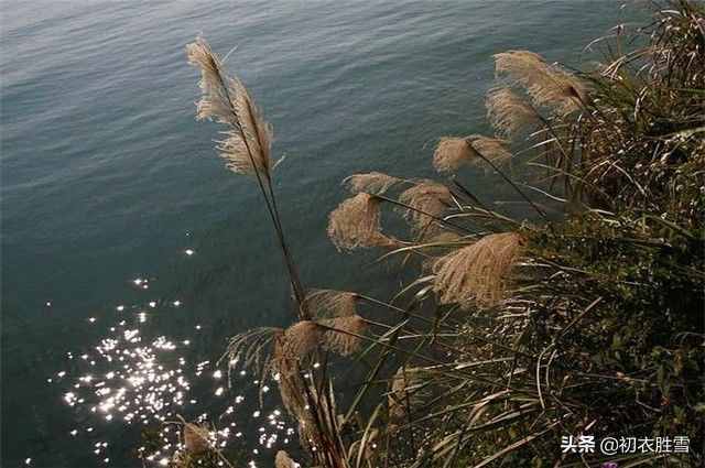 中秋去哪里賞月：李白說(shuō)南湖秋水夜無(wú)煙