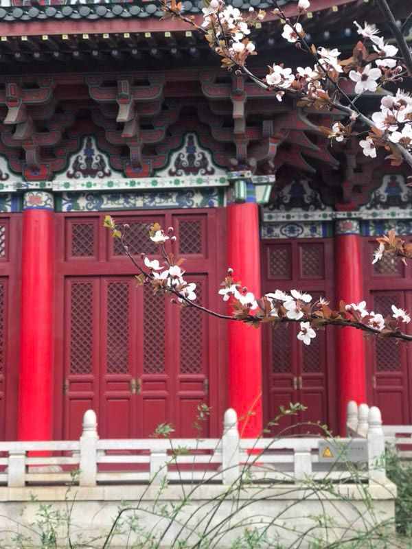 「詩詞遇上名勝」滕王閣：落霞與孤鶩齊飛，秋水共長天一色