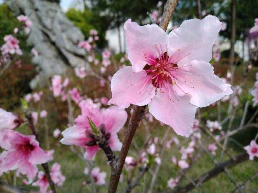 部編版七年級課后生字詞匯總，學(xué)習(xí)必備！