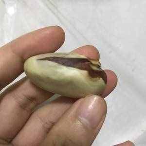 菠蘿蜜的核（好吃不浪費，減肥）的做法 步驟2