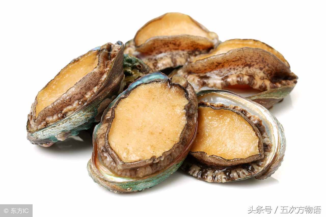 鱷魚不是魚，鯨魚也不是魚，鯊魚是魚嗎？