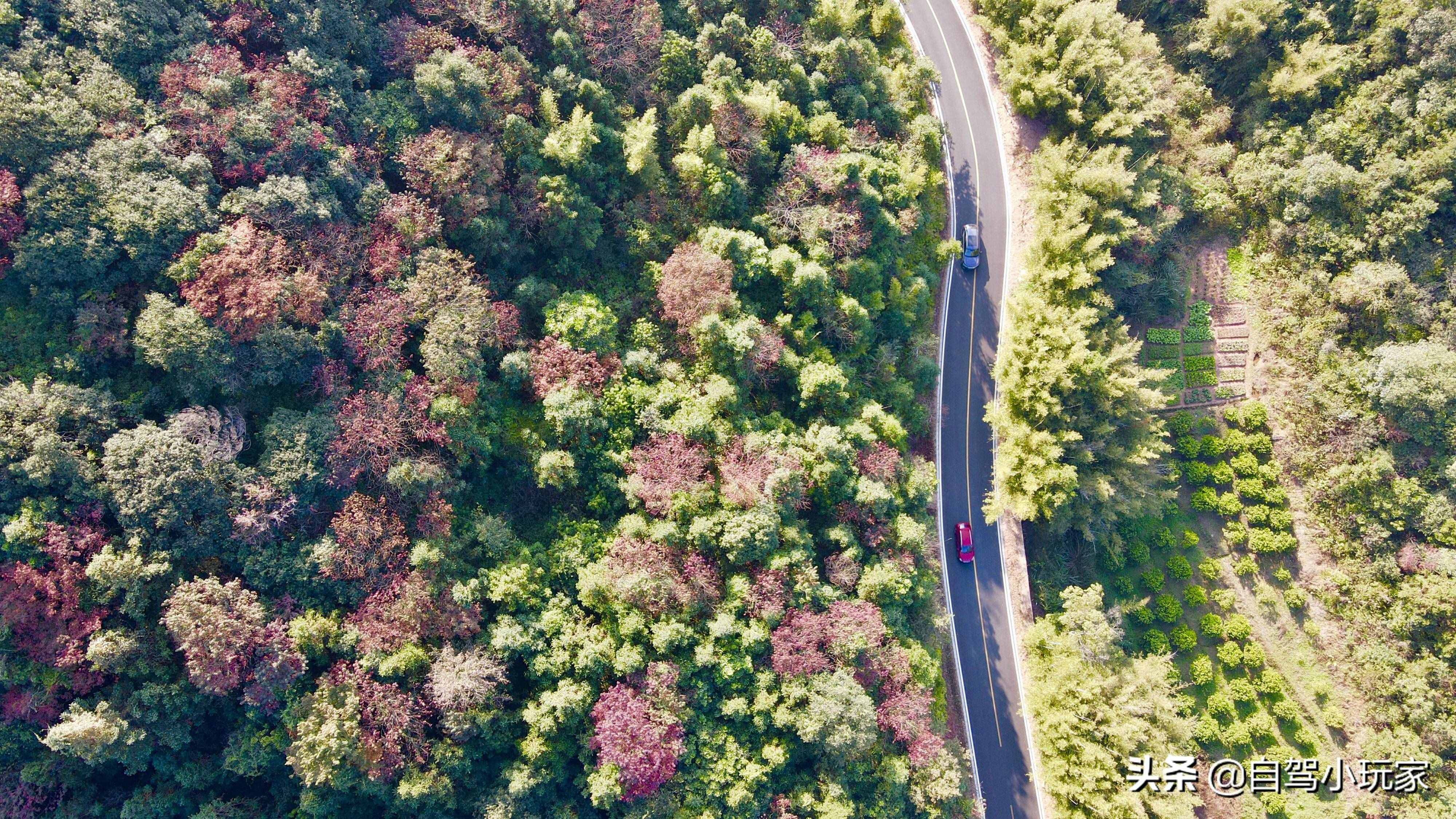 沿途20多個(gè)景點(diǎn)，全部免費(fèi)！廣東這條絕美的自駕路線，不容錯(cuò)過(guò)