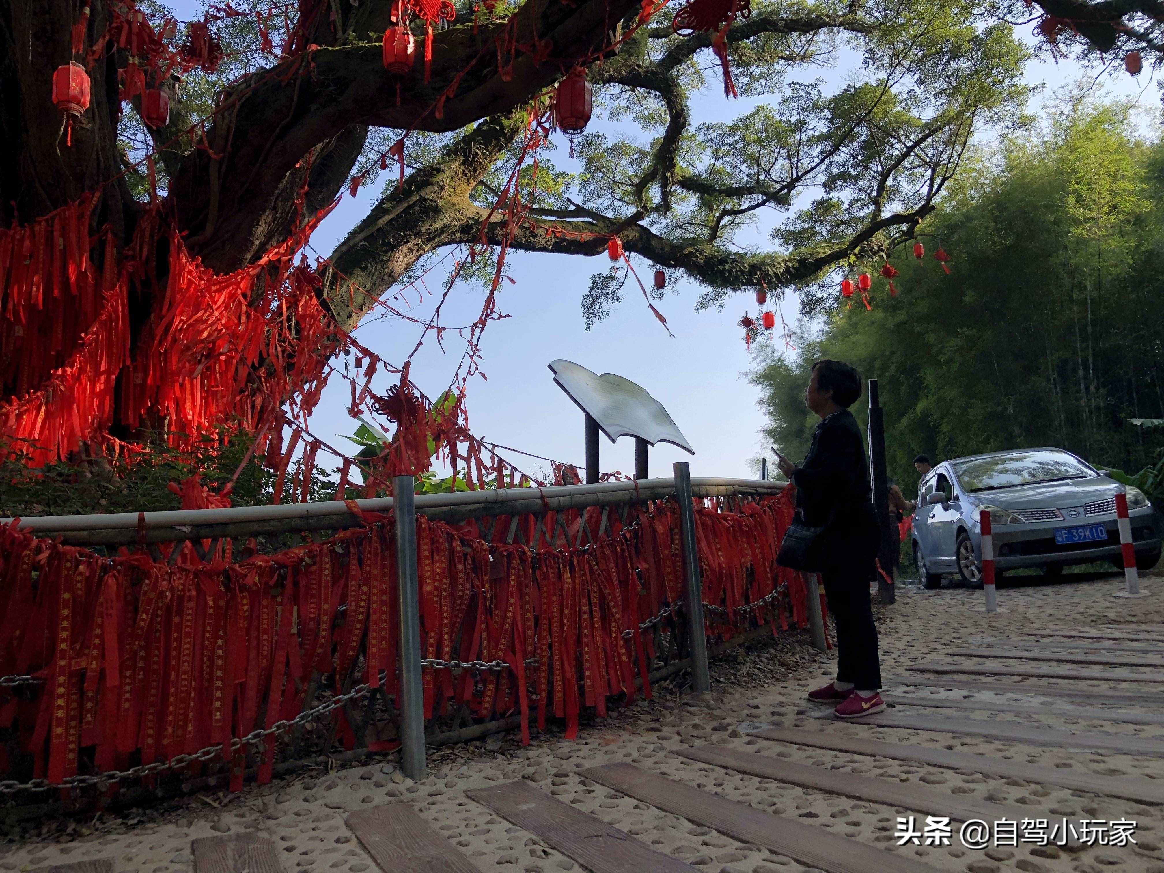 沿途20多個(gè)景點(diǎn)，全部免費(fèi)！廣東這條絕美的自駕路線，不容錯(cuò)過(guò)