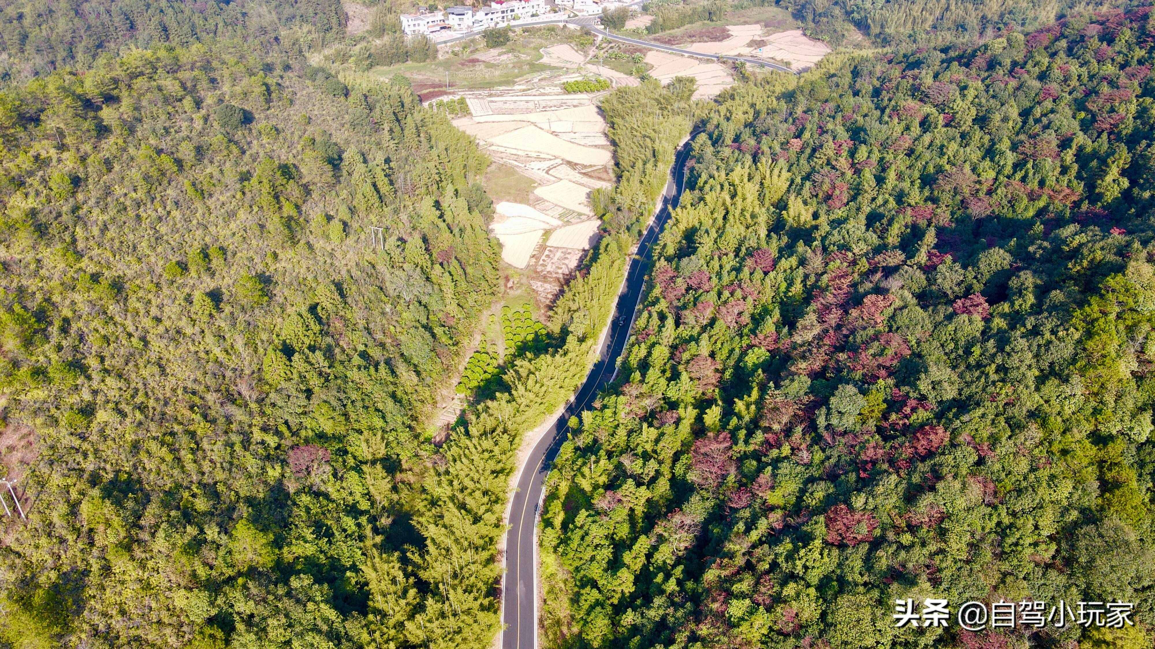 沿途20多個(gè)景點(diǎn)，全部免費(fèi)！廣東這條絕美的自駕路線，不容錯(cuò)過(guò)
