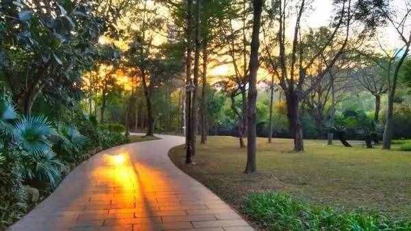 深圳15個最適合一日游的景點(diǎn)……人少景美還免費(fèi)！