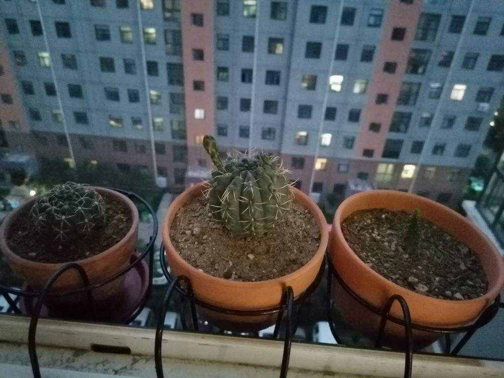4個(gè)擦玻璃的小妙招，只要記住一個(gè)，玻璃就能光亮如新