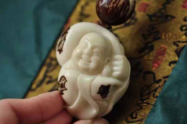 象牙果到底是什么東西？和象牙是一回事嗎？