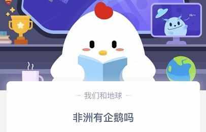 非洲有企鵝嗎？非洲為什么會(huì)有企鵝 非洲企鵝是什么樣子的