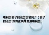 電視劇妻子的謊言劇情簡(jiǎn)介（妻子的謊言 賈青張曉龍主演電視?。? /></span></a>
                        <h2><a  title=