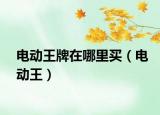 電動王牌在哪里買（電動王）