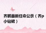 齊鵬最新任命公示（齊p小鉆裙）