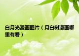 白月光漫畫圖片（月白樹漫畫哪里有看）