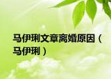 馬伊琍文章離婚原因（馬伊琍）