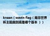 knaan（wavin flag（南非世界杯主題曲到底是哪個版本 ））