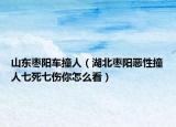 山東棗陽車撞人（湖北棗陽惡性撞人七死七傷你怎么看）