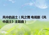 風中的戰(zhàn)士（風之舞 電視劇《風中戰(zhàn)士》主題曲）
