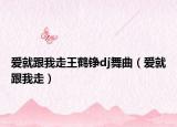 愛(ài)就跟我走王鶴錚dj舞曲（愛(ài)就跟我走）