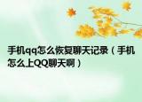 手機(jī)qq怎么恢復(fù)聊天記錄（手機(jī)怎么上QQ聊天?。? /></span></a>
                        <h2><a href=