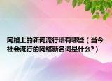 網(wǎng)絡上的新詞流行語有哪些（當今社會流行的網(wǎng)絡新名詞是什么?）