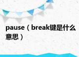 pause（break鍵是什么意思）