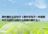 樹葉像什么寫句子（樹葉寫句子一年級樹葉什么的什么的什么的樹葉像什么）