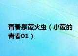 青春是螢火蟲（小螢的青春01）
