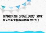 御龍在天選什么職業(yè)比較好（御龍在天各職業(yè)推薦和優(yōu)缺點介紹）