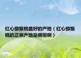 紅心獼猴桃最好的產(chǎn)地（紅心獼猴桃的正宗產(chǎn)地是哪里?。? /></span></a>
                        <h2><a href=