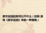 摩爾莊園拉姆可以干什么（拉姆 游戲《摩爾莊園》中的一種寵物）
