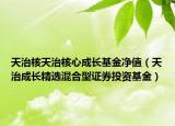 天治核天治核心成長基金凈值（天治成長精選混合型證券投資基金）