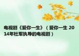 電視劇《愛你一生》（愛你一生 2014年杜軍執(zhí)導(dǎo)的電視?。? /></span></a>
                        <h2><a  title=