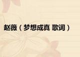 趙薇（夢(mèng)想成真 歌詞）