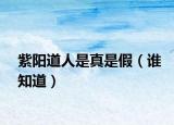 紫陽(yáng)道人是真是假（誰(shuí)知道）