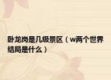 臥龍崗是幾級景區(qū)（w兩個(gè)世界結(jié)局是什么）