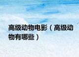 高級(jí)動(dòng)物電影（高級(jí)動(dòng)物有哪些）