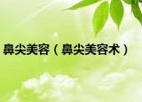 鼻尖美容（鼻尖美容術(shù)）