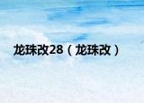 龍珠改28（龍珠改）