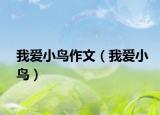 我愛小鳥作文（我愛小鳥）