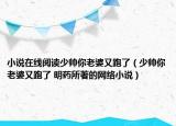 小說在線閱讀少帥你老婆又跑了（少帥你老婆又跑了 明藥所著的網(wǎng)絡小說）