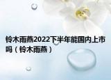 鈴木雨燕2022下半年能國內上市嗎（鈴木雨燕）