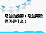 馬蘭的前妻（馬蘭離婚原因是什么）