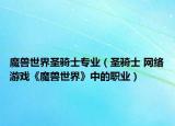 魔獸世界圣騎士專業(yè)（圣騎士 網(wǎng)絡(luò)游戲《魔獸世界》中的職業(yè)）