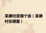 萊康村是哪個?。ㄈR康村在哪里）